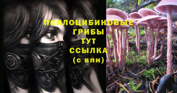 экстази Михайлов