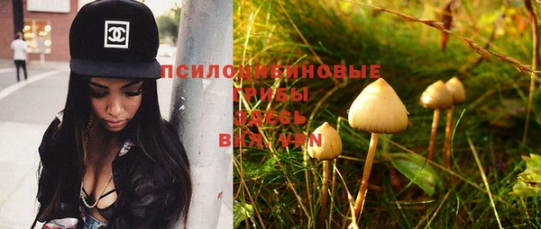 экстази Михайлов