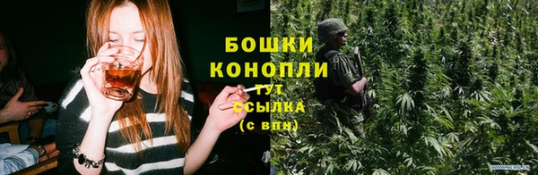 гашик Михайловка